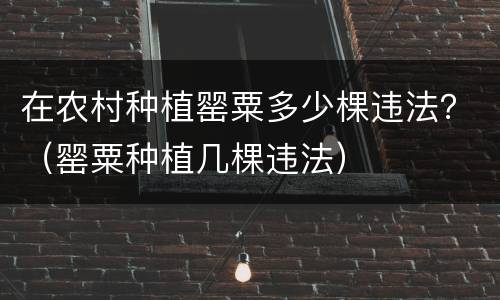 在农村种植罂粟多少棵违法？（罂粟种植几棵违法）