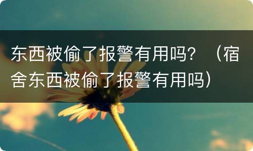 东西被偷了报警有用吗？（宿舍东西被偷了报警有用吗）