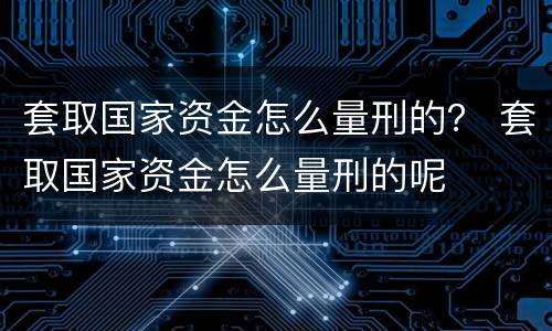 套取国家资金怎么量刑的？ 套取国家资金怎么量刑的呢