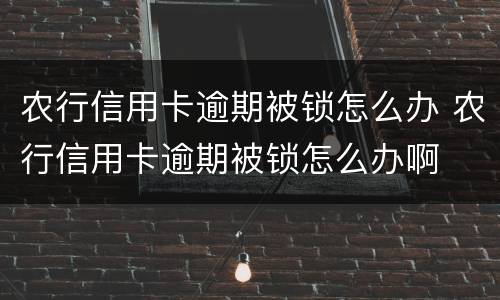 农行信用卡逾期被锁怎么办 农行信用卡逾期被锁怎么办啊