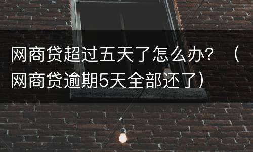 网商贷超过五天了怎么办？（网商贷逾期5天全部还了）