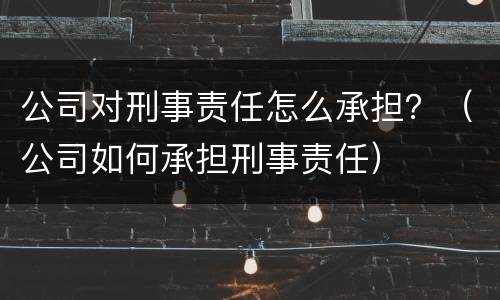 公司对刑事责任怎么承担？（公司如何承担刑事责任）