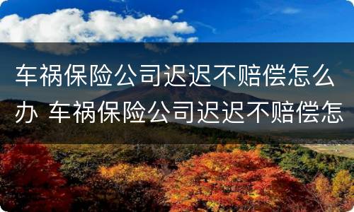 车祸保险公司迟迟不赔偿怎么办 车祸保险公司迟迟不赔偿怎么办理