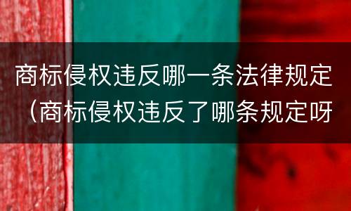 商标侵权违反哪一条法律规定（商标侵权违反了哪条规定呀）