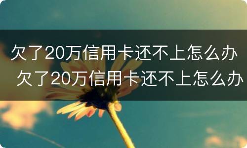 欠了20万信用卡还不上怎么办 欠了20万信用卡还不上怎么办,不想还了