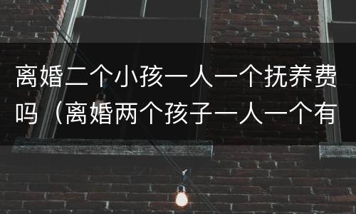 离婚二个小孩一人一个抚养费吗（离婚两个孩子一人一个有抚养费吗）
