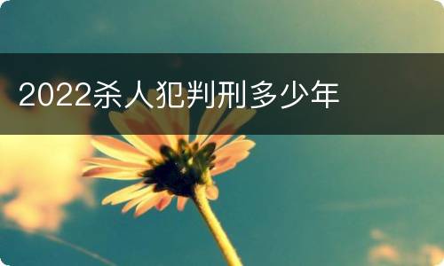 2022杀人犯判刑多少年