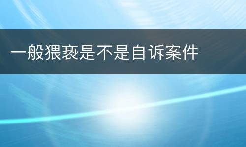 一般猥亵是不是自诉案件