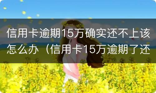信用卡逾期15万确实还不上该怎么办（信用卡15万逾期了还不上怎么办）