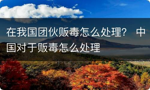 在我国团伙贩毒怎么处理？ 中国对于贩毒怎么处理