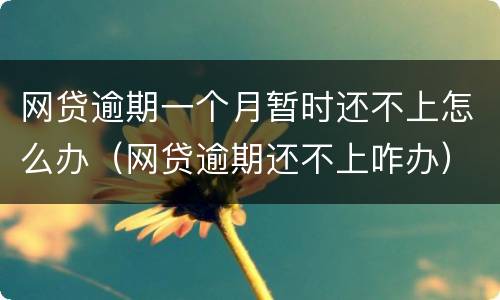 网贷逾期一个月暂时还不上怎么办（网贷逾期还不上咋办）