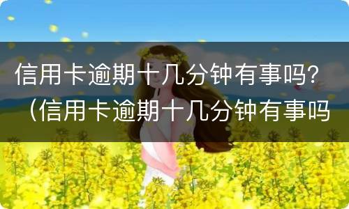 信用卡逾期十几分钟有事吗？（信用卡逾期十几分钟有事吗怎么办）