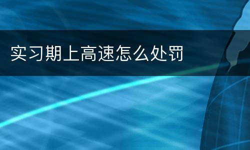 实习期上高速怎么处罚
