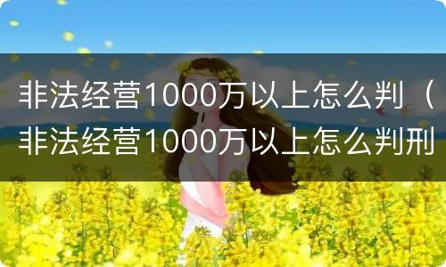 非法经营1000万以上怎么判（非法经营1000万以上怎么判刑）