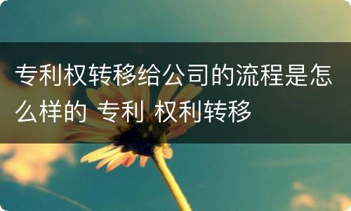 专利权转移给公司的流程是怎么样的 专利 权利转移