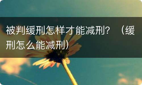 被判缓刑怎样才能减刑？（缓刑怎么能减刑）