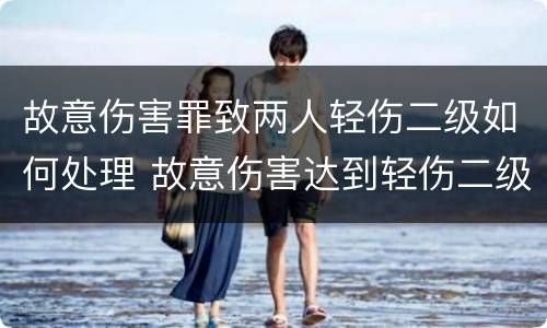 故意伤害罪致两人轻伤二级如何处理 故意伤害达到轻伤二级应负什么责任?