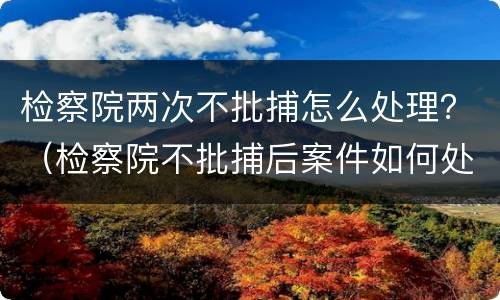 检察院两次不批捕怎么处理？（检察院不批捕后案件如何处理）