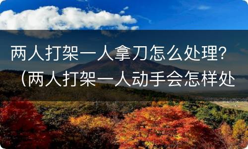 两人打架一人拿刀怎么处理？（两人打架一人动手会怎样处理）