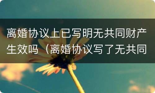 离婚协议上已写明无共同财产生效吗（离婚协议写了无共同财产）