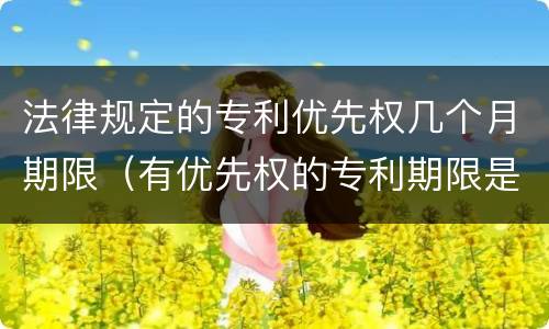 法律规定的专利优先权几个月期限（有优先权的专利期限是从优先权日起算还是申请日算）