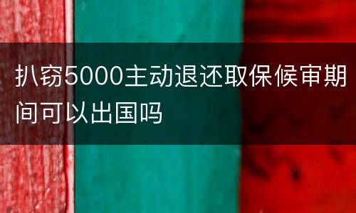 扒窃5000主动退还取保候审期间可以出国吗
