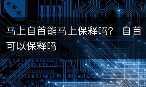 马上自首能马上保释吗？ 自首可以保释吗
