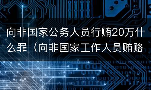 向非国家公务人员行贿20万什么罪（向非国家工作人员贿赂量刑）