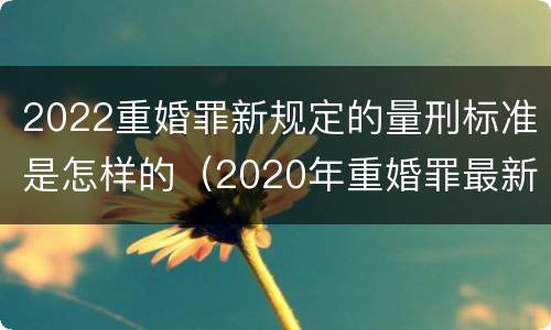 2022重婚罪新规定的量刑标准是怎样的（2020年重婚罪最新认定标准）