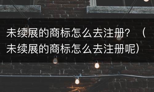 未续展的商标怎么去注册？（未续展的商标怎么去注册呢）
