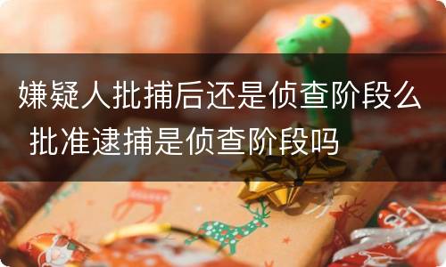 嫌疑人批捕后还是侦查阶段么 批准逮捕是侦查阶段吗