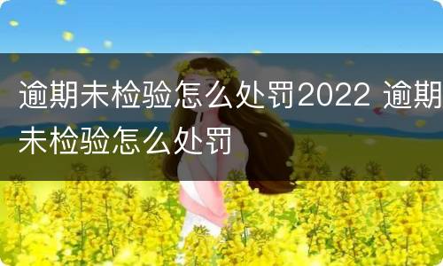 逾期未检验怎么处罚2022 逾期未检验怎么处罚