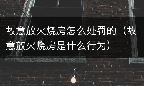 故意放火烧房怎么处罚的（故意放火烧房是什么行为）