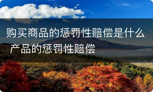 购买商品的惩罚性赔偿是什么 产品的惩罚性赔偿