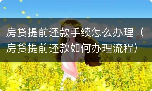 房贷提前还款手续怎么办理（房贷提前还款如何办理流程）