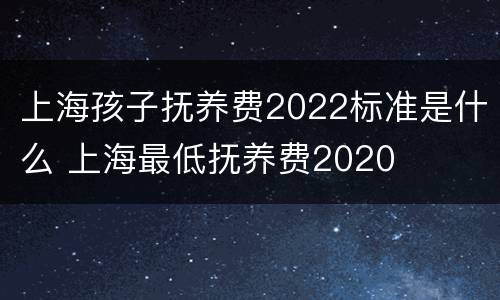 上海孩子抚养费2022标准是什么 上海最低抚养费2020
