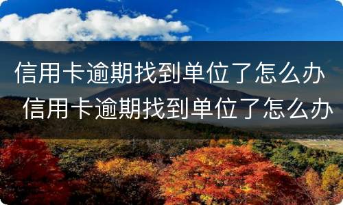 信用卡逾期找到单位了怎么办 信用卡逾期找到单位了怎么办理