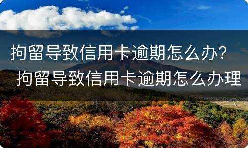 拘留导致信用卡逾期怎么办？ 拘留导致信用卡逾期怎么办理
