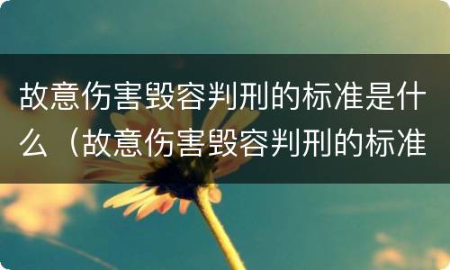 故意伤害毁容判刑的标准是什么（故意伤害毁容判刑的标准是什么意思）