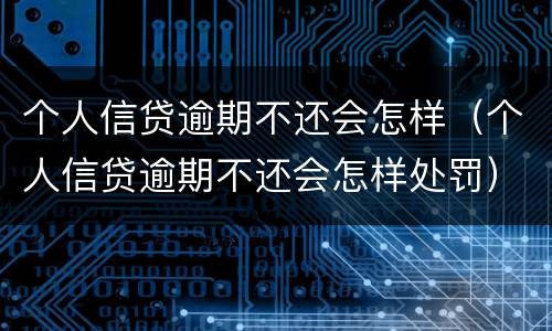 个人信贷逾期不还会怎样（个人信贷逾期不还会怎样处罚）