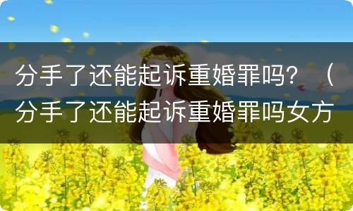 分手了还能起诉重婚罪吗？（分手了还能起诉重婚罪吗女方）
