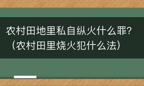 农村田地里私自纵火什么罪？（农村田里烧火犯什么法）