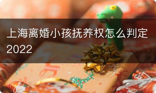 上海离婚小孩抚养权怎么判定2022
