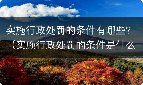 实施行政处罚的条件有哪些？（实施行政处罚的条件是什么）