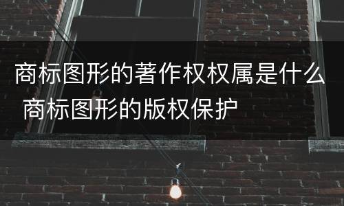 商标图形的著作权权属是什么 商标图形的版权保护