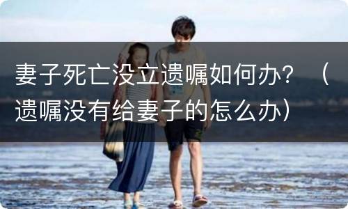 妻子死亡没立遗嘱如何办？（遗嘱没有给妻子的怎么办）