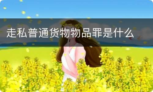 走私普通货物物品罪是什么