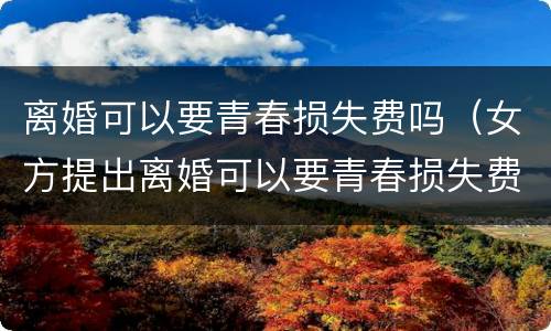离婚可以要青春损失费吗（女方提出离婚可以要青春损失费吗）