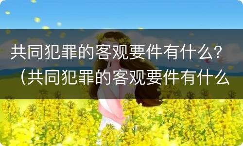共同犯罪的客观要件有什么？（共同犯罪的客观要件有什么）