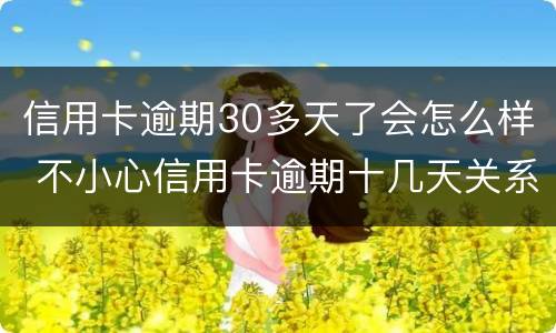 信用卡逾期30多天了会怎么样 不小心信用卡逾期十几天关系大吗